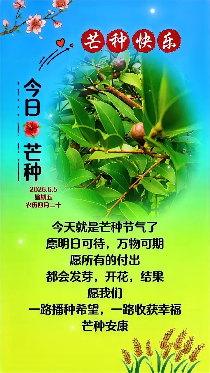 “有芒之谷，忙种忙收”，种下希望收获满满，南方种稻，北方收麦，就是说农民忙着农事