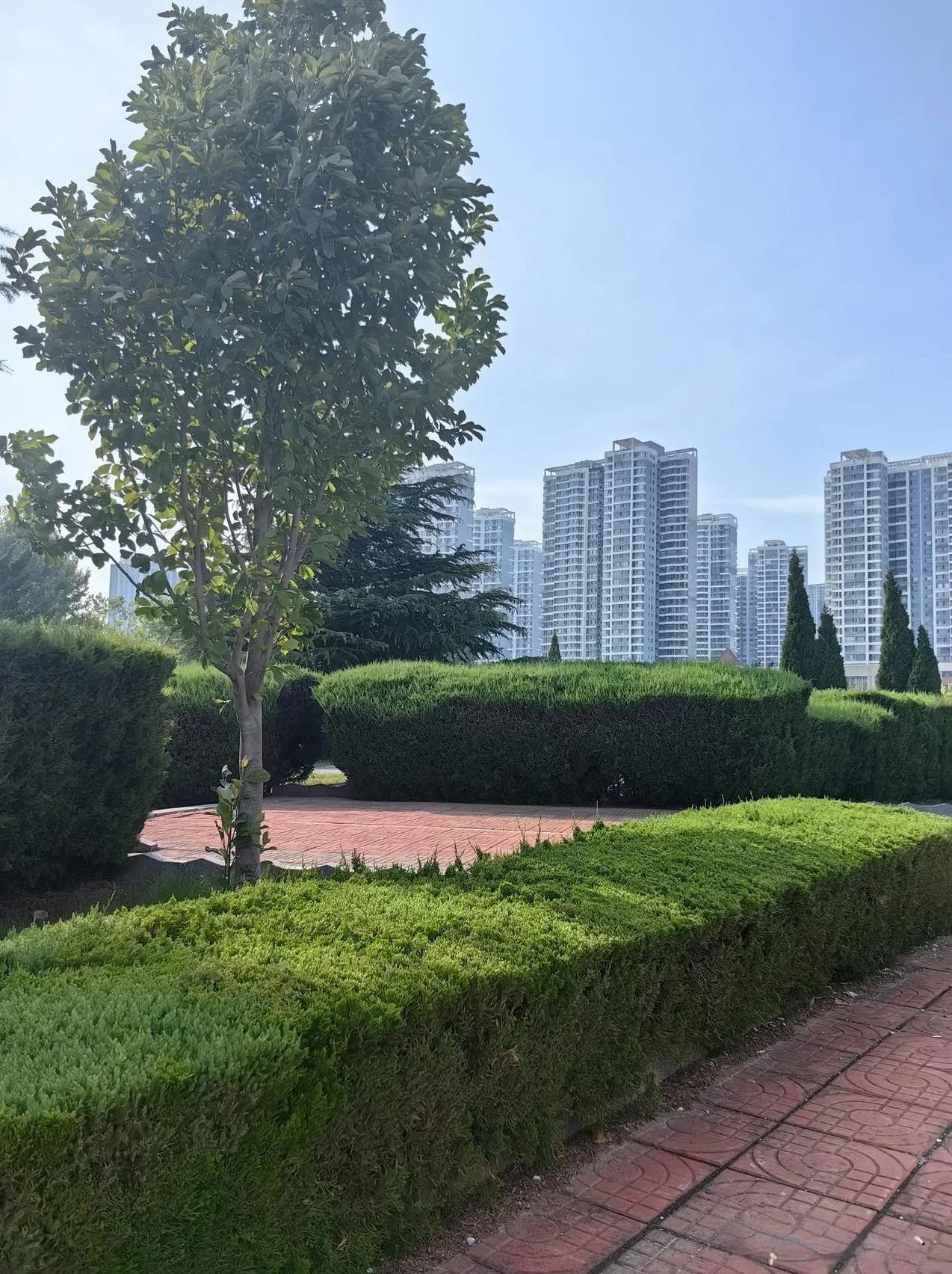 进入七月了，山东的养老金调整方案还没有出台，上调是一定的了，估计幅度还在3％左右
