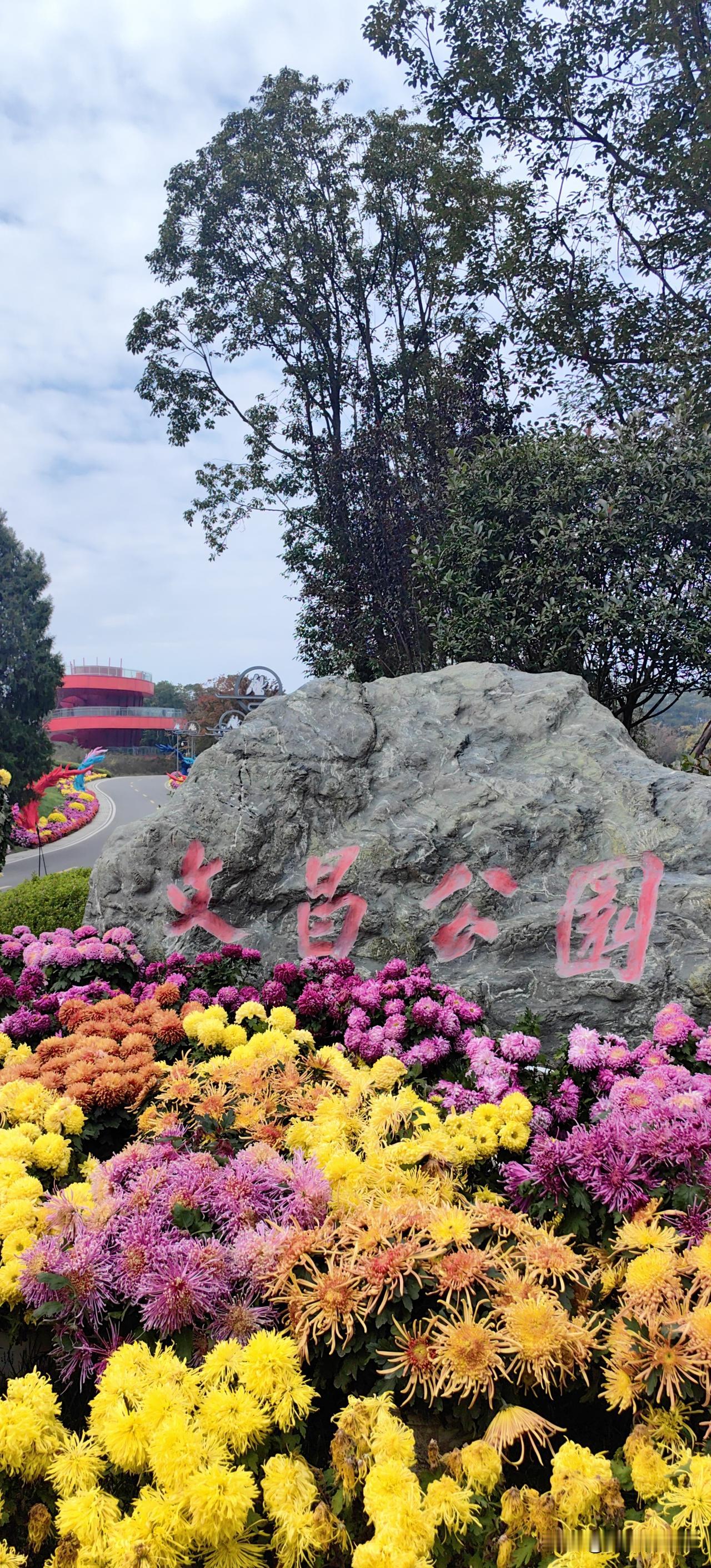 游文昌菊展。今日小雪，天地初寒，执笔问安，愿这一季冬，你心有所暖，不惧风霜，今冬