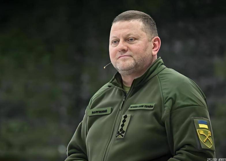 当年泽连斯基若是别撤换扎卢日内，乌克兰的战局，未必就是今天的样子！话说扎卢日内担