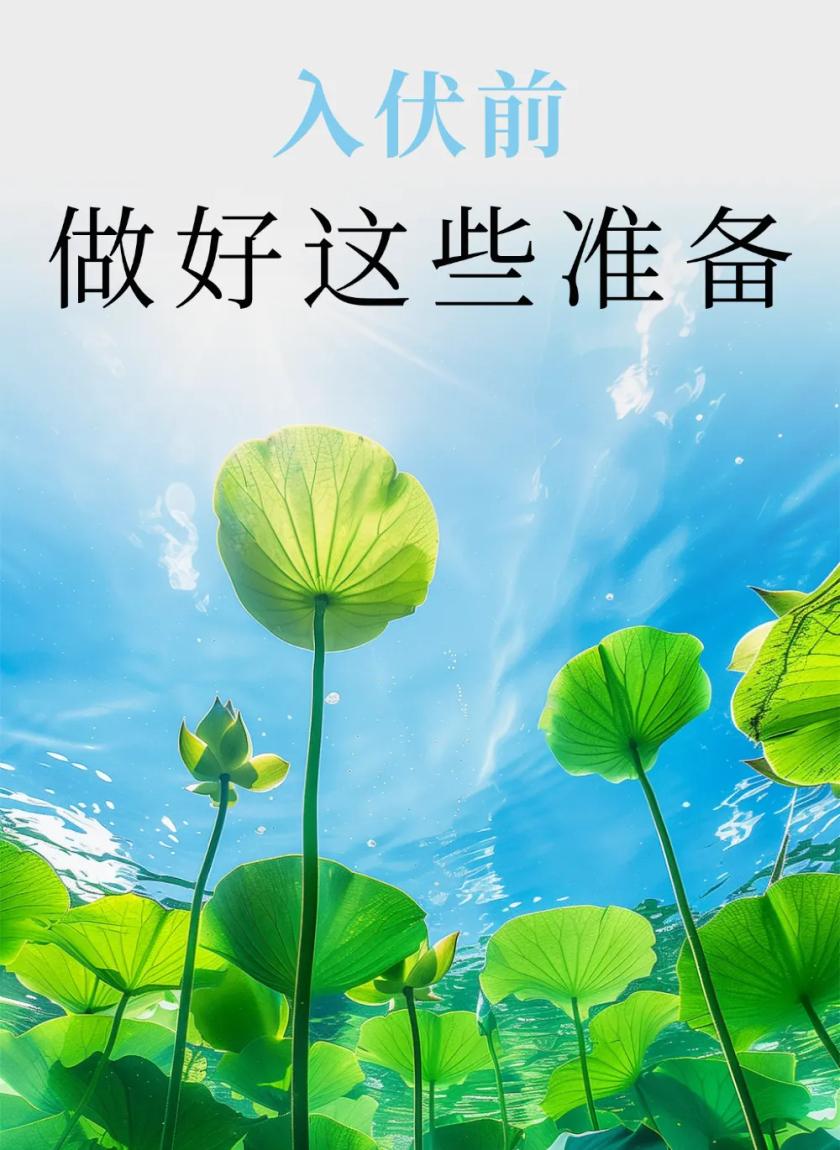 7月15日正式入伏，一年中最热最难熬的日子来了！老话说“夏至三庚数头伏”，今
