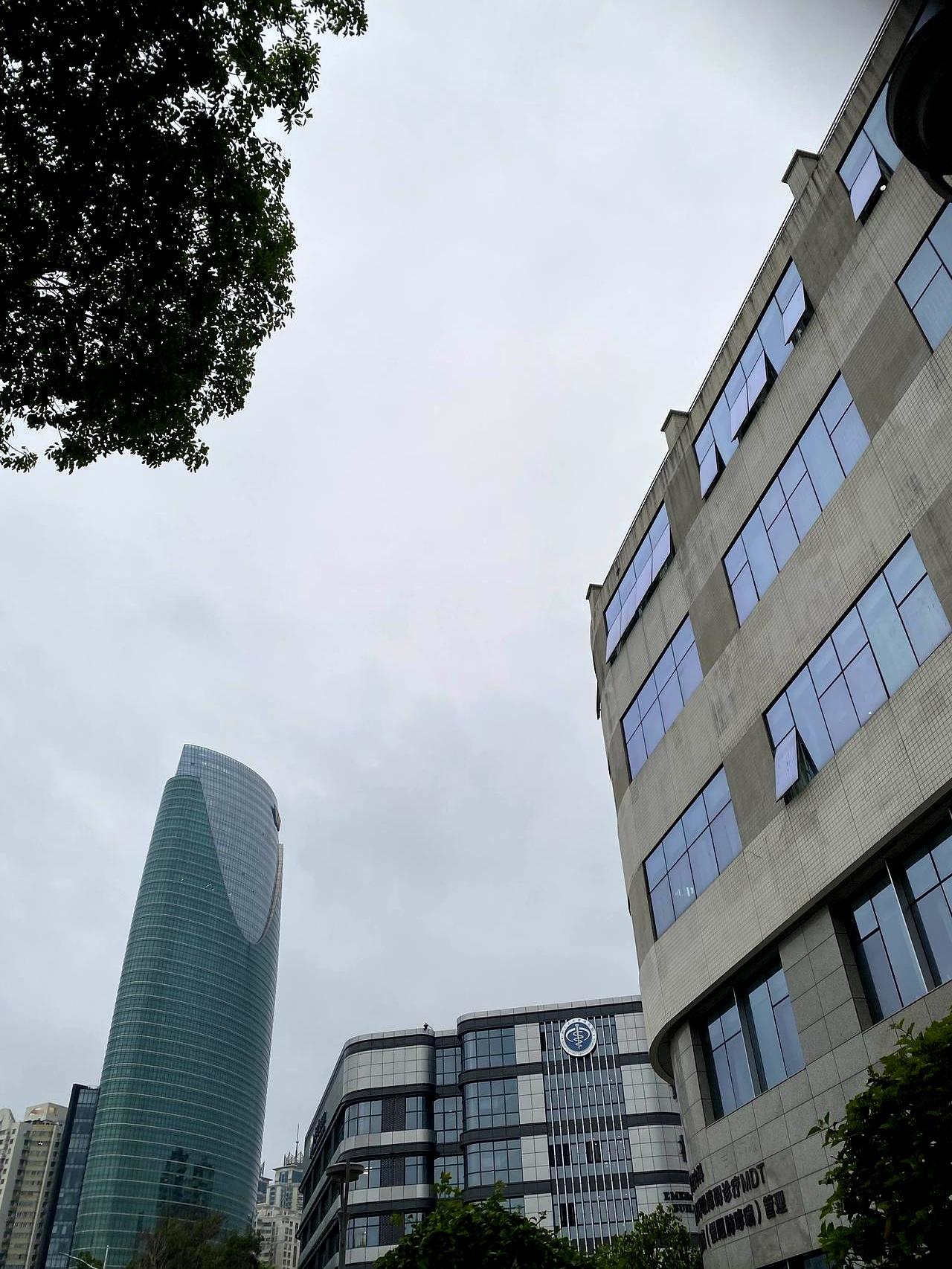 你见过那种早餐吃太饱就开始“画大饼”的同事吗？淼哥就是，他捧着杯豆浆突发奇想：