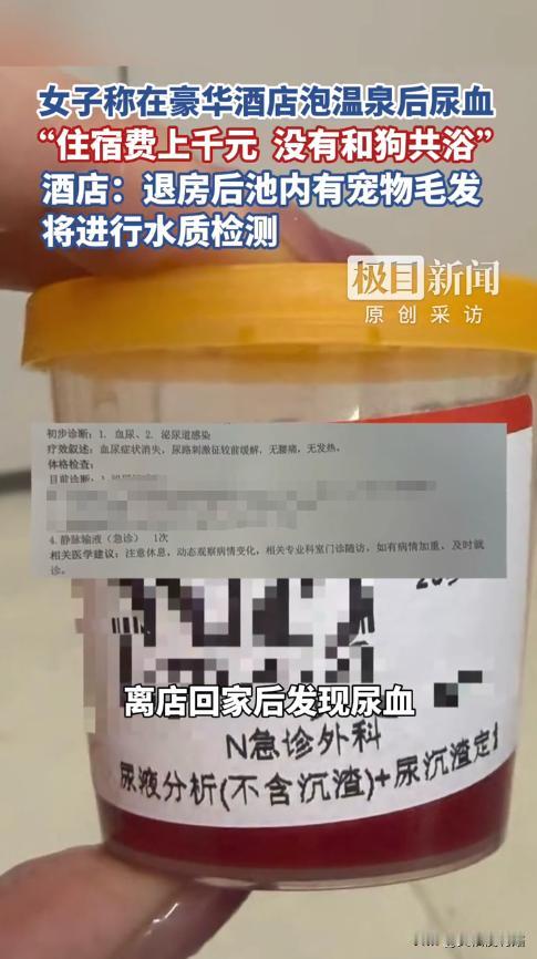 “严查到底！”近日，四川成都，一女子花费千元，带着狗住进一家豪华酒店，可女子在泡