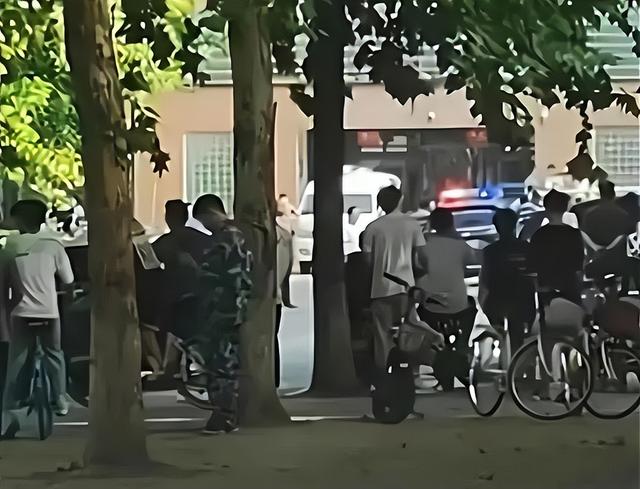 辽宁锦州职业学校之修罗场,畸形教育生态必然结出的恶果