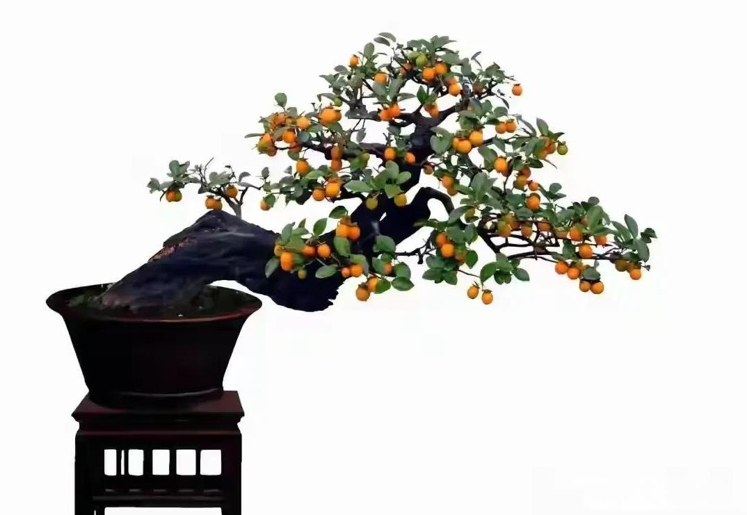 在单位，领导如何通过聊天，知道一个人是否堪大用:1，看你汇报工作时，是否思路清