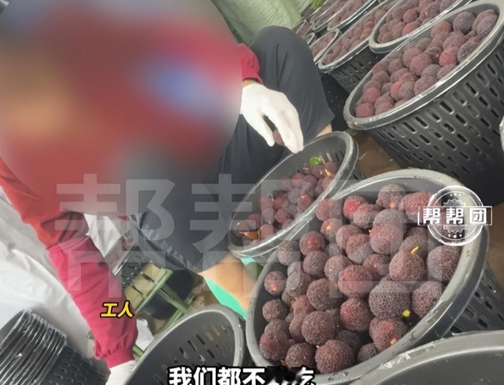 曝光“杨梅泡添加剂”的媒体人，本是替消费者把好“舌尖上的关”，没想到却被福建漳州