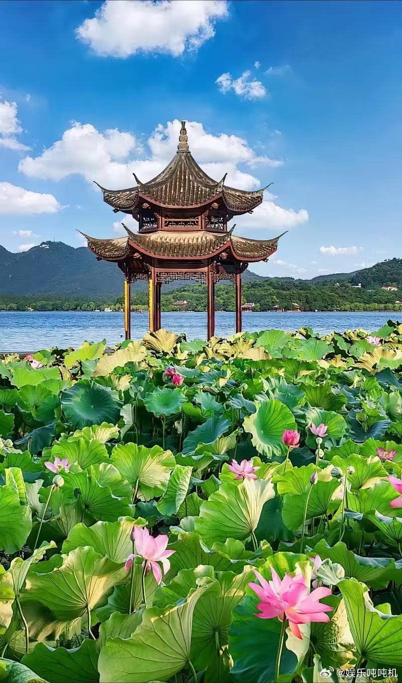 在西湖旅拍成为杭州旅游标配在杭州拍国风大片氛围感拉满三潭印月旁，撑一柄团扇回眸