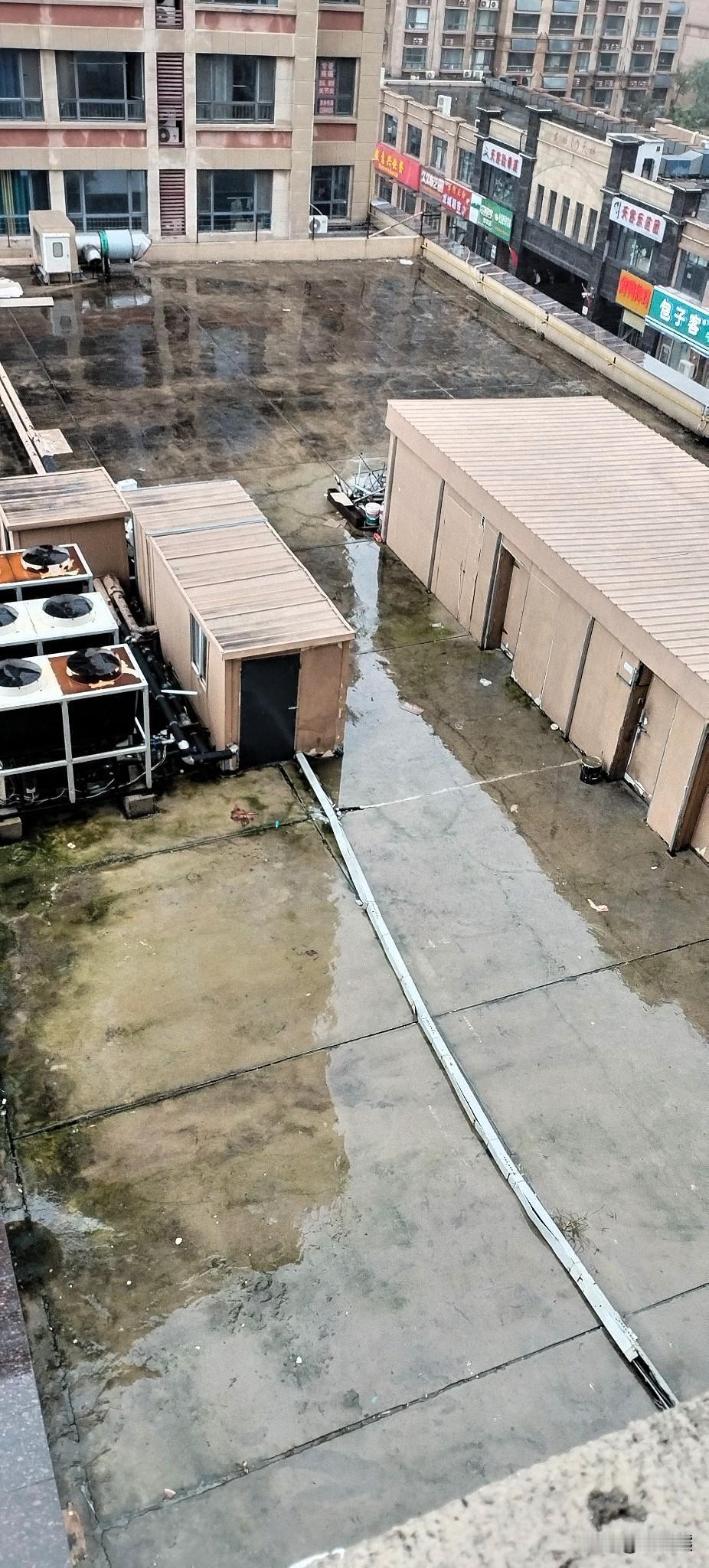 济南的雨何时停？已经连续下了多日，昨晚那个雨噼里啪啦的砸在地上，母亲说地里还有