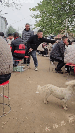 心狠手辣，一招倒地！这小子坏事没少干！