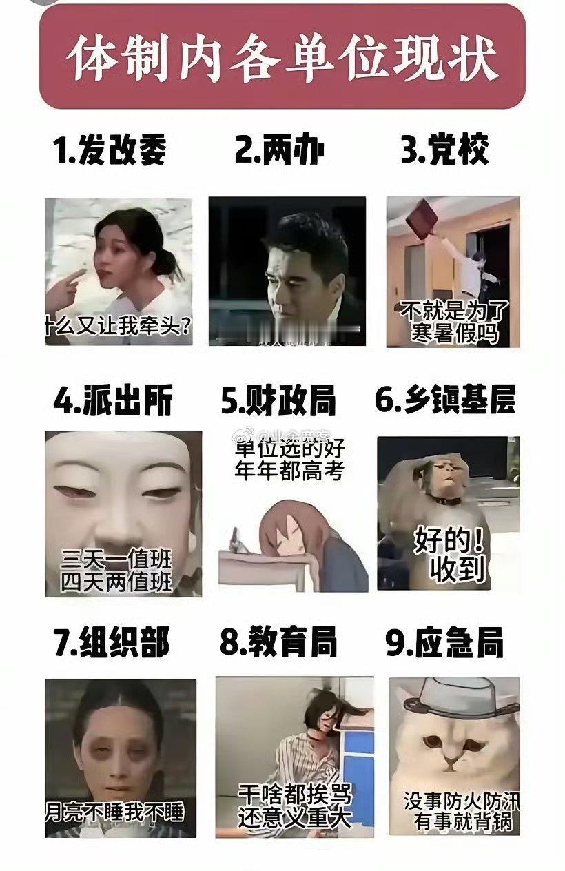 体制内各单位现状