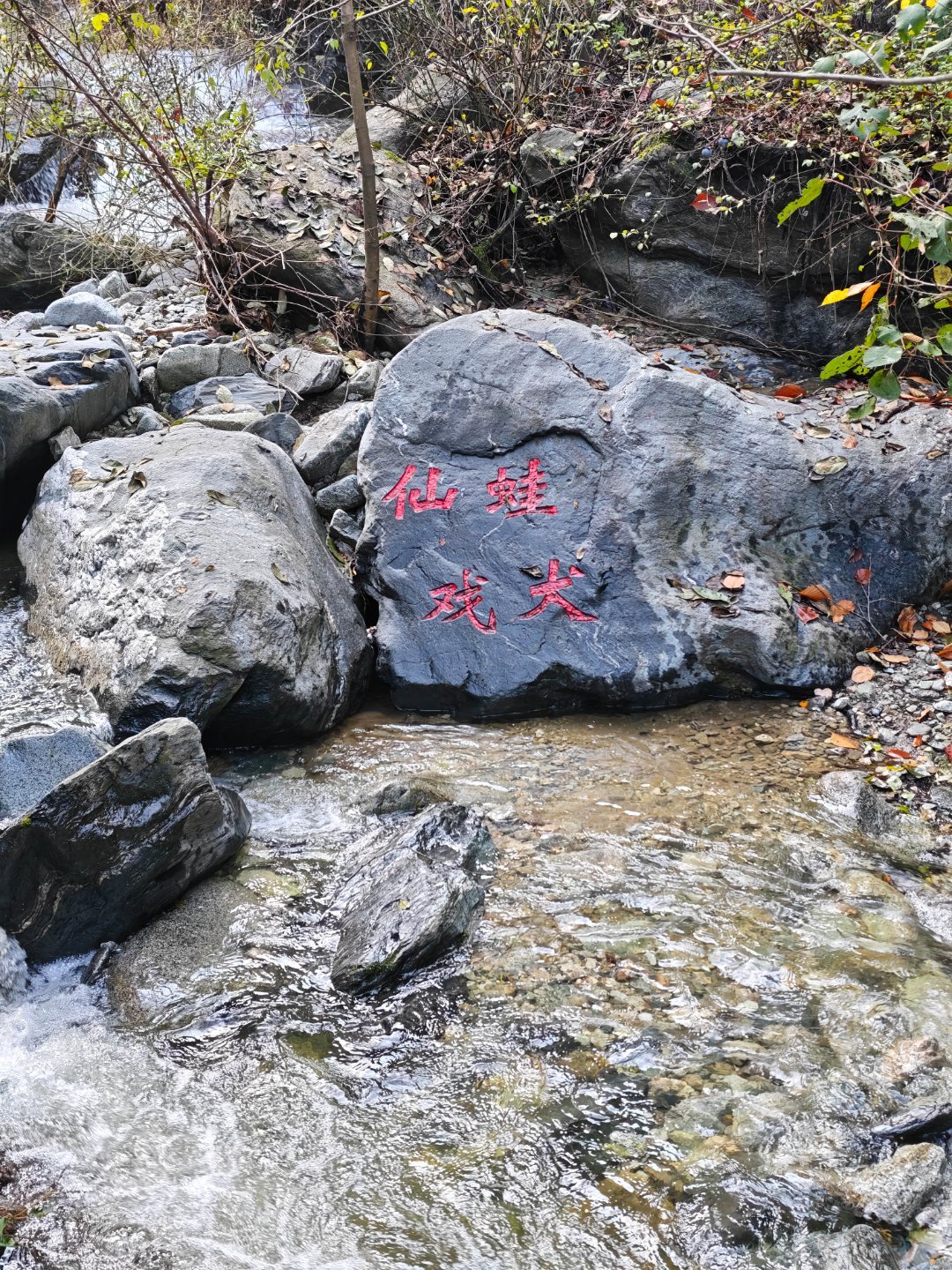 大胆​​​