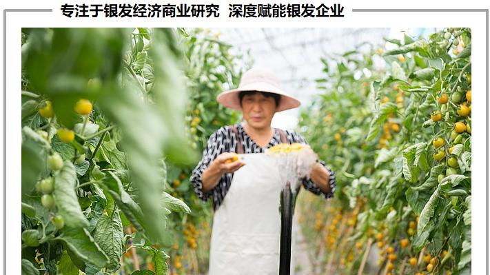 60岁正是闯的年纪老年人在短视频里做网红“顶流”?
