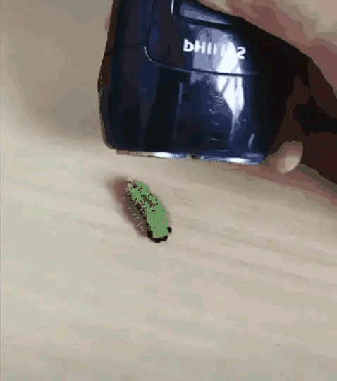 洋辣子：不枉我活这一生，终于碰到真正懂我的人了