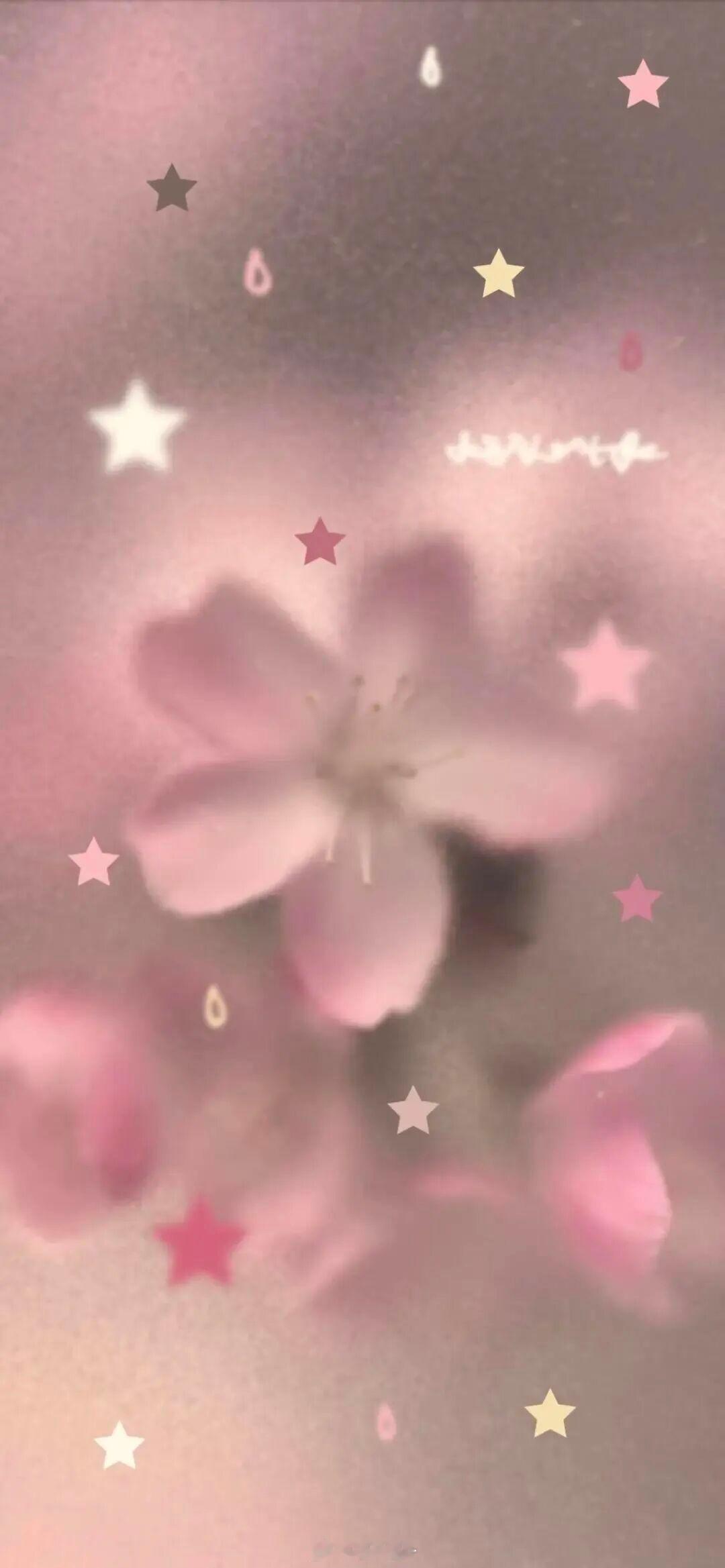 全屏/高清/ 苹果手机壁纸 /凯迪猫/聊天背景图动漫手机壁纸高清无