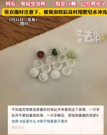 太吓人了！四川，女子起床穿内衣，结果，却总感觉扣不舒服，她将内衣一把扯开，竟然在