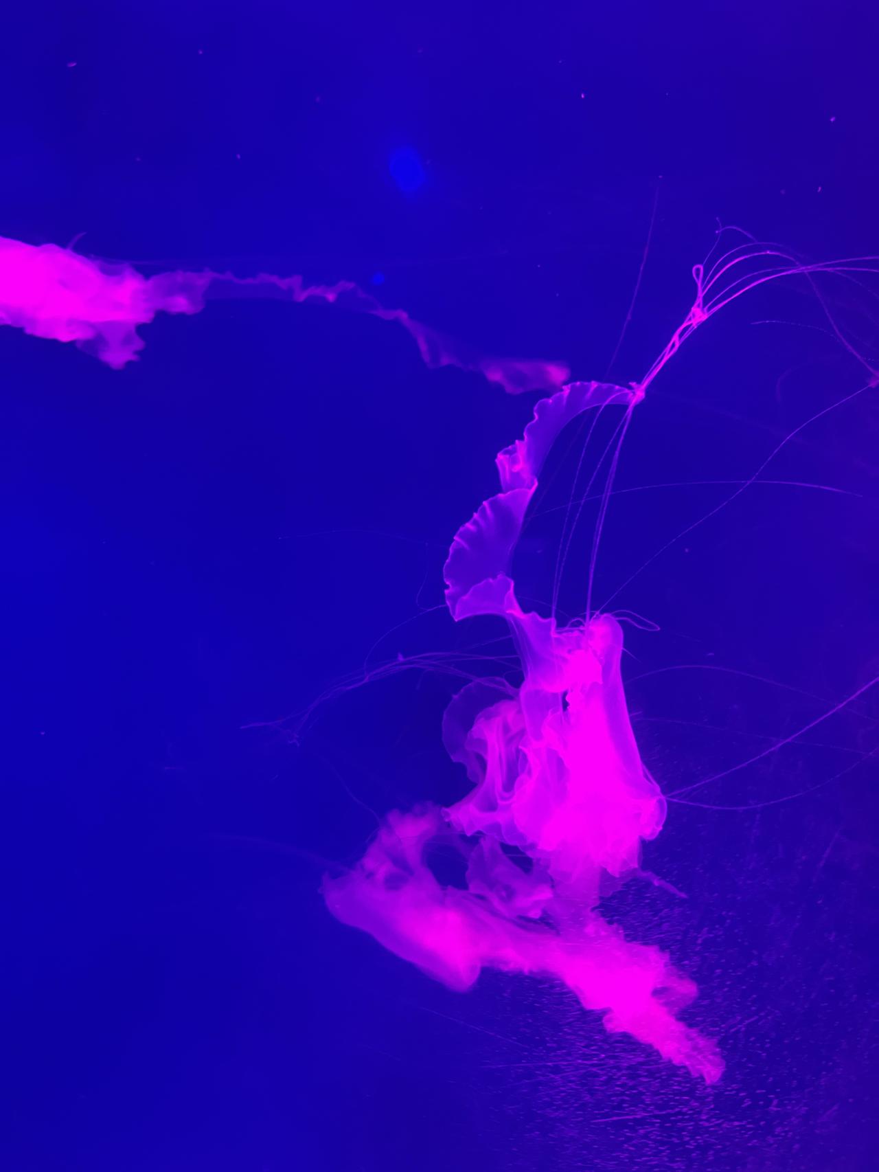 《道德经》里这段话，我读了很多遍，每次都觉得，老子不是在讲一个抽象的概念，是在描