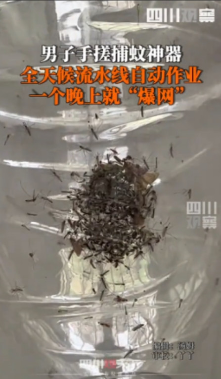 人怎么能这么聪明！”5月22日，福建厦门，男子被村里的蚊子叮的不胜其烦，灵机一动