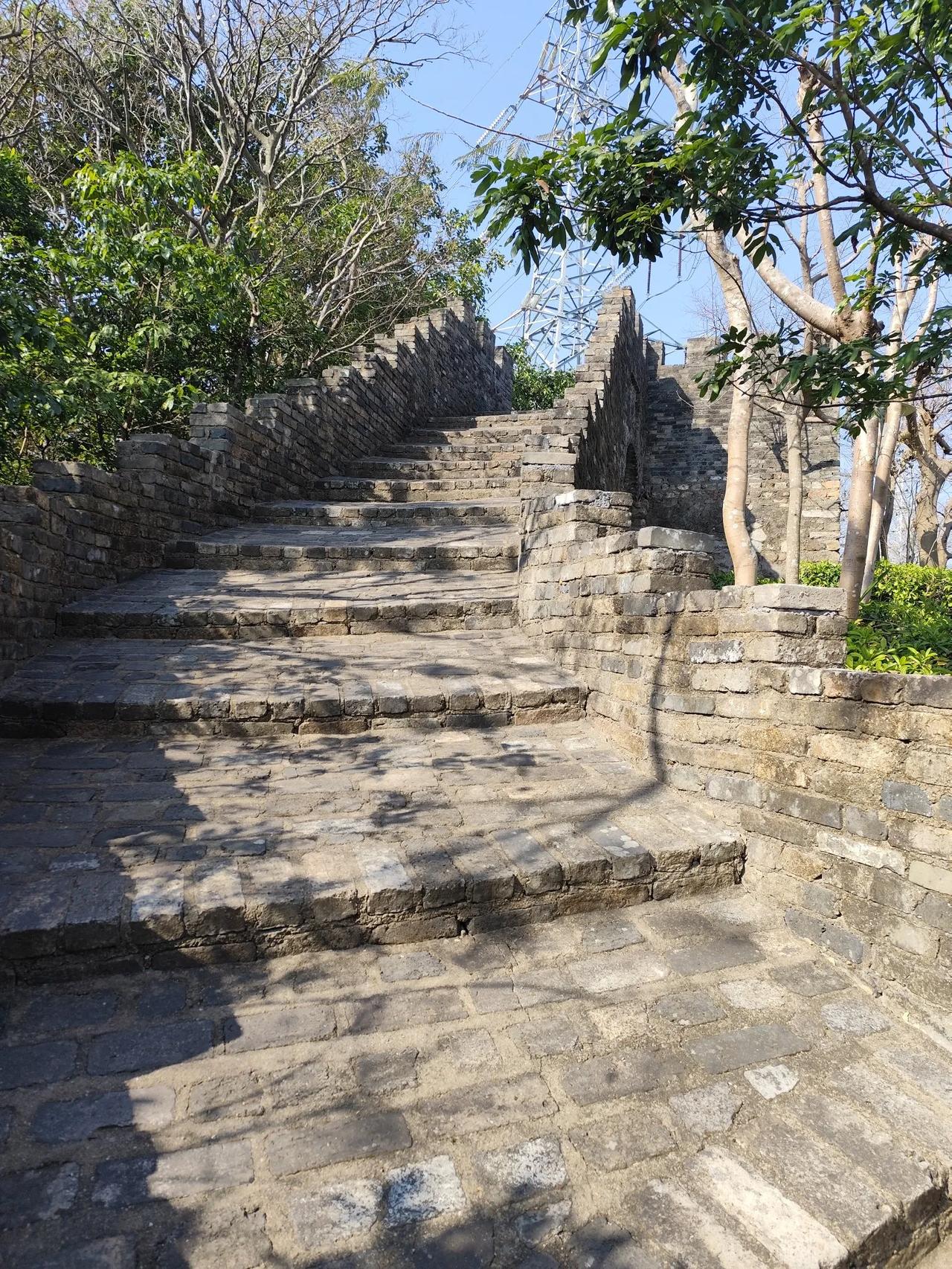 其实聂卫平和英达的情况完全不同，聂卫平的儿子不应该恨父亲。聂卫平当时和老孔是正