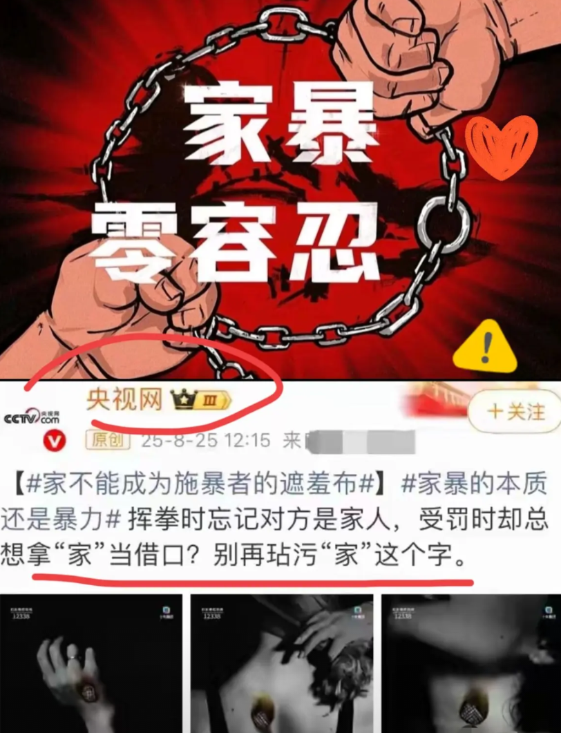 央视发声了家暴不重惩谁还敢让女儿走进婚姻央视这次对家暴事件的关注真的太及