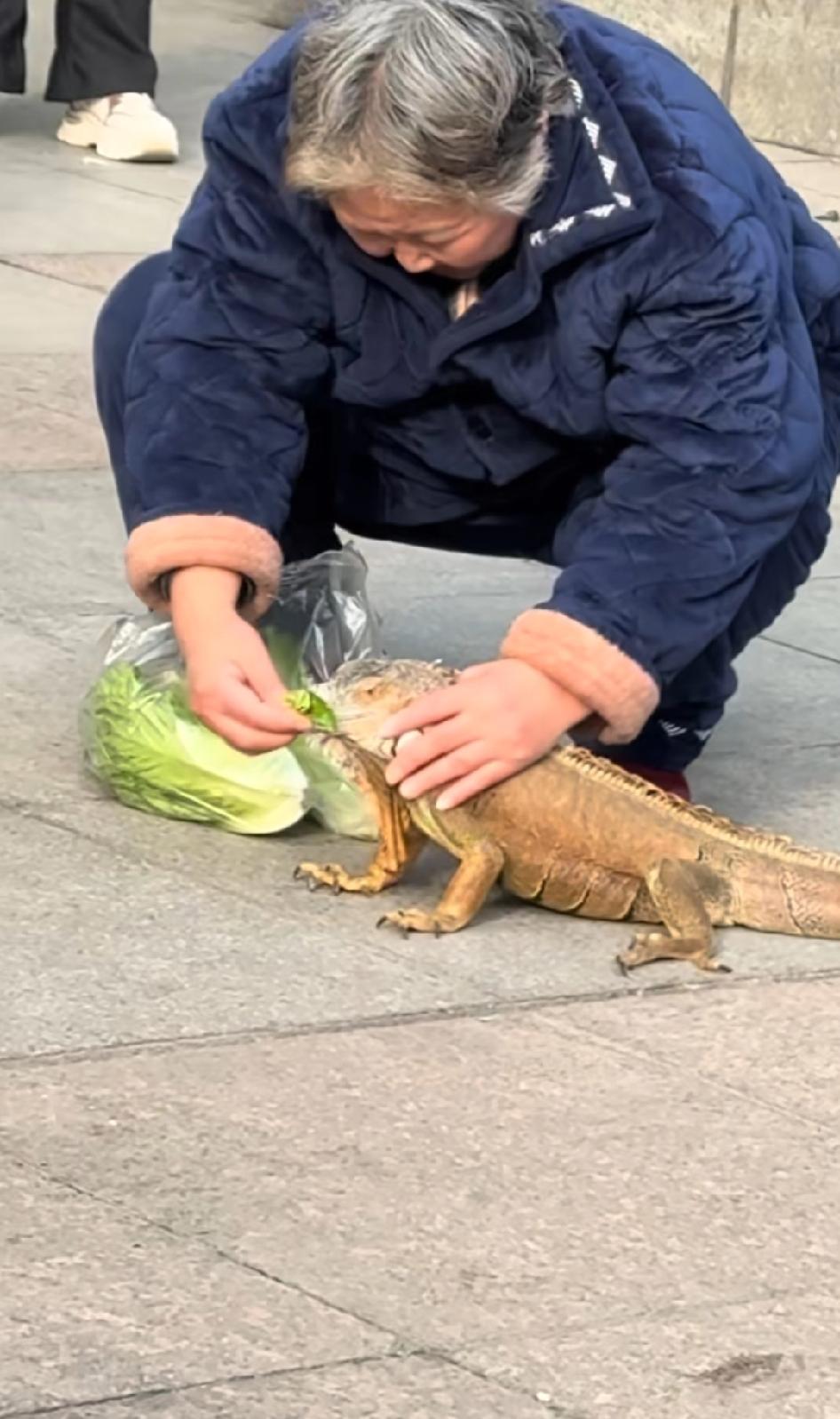 论重庆人的松弛感，奶奶觉得你饿，不管啥物种都得饿，奶奶要是早出手，侏罗纪公园不能