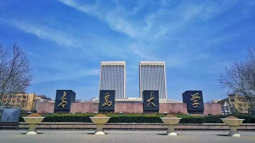 青岛大学的宿管大爷如果真的被拖欠了八个月工资没钱买风扇学校也不管不问最后