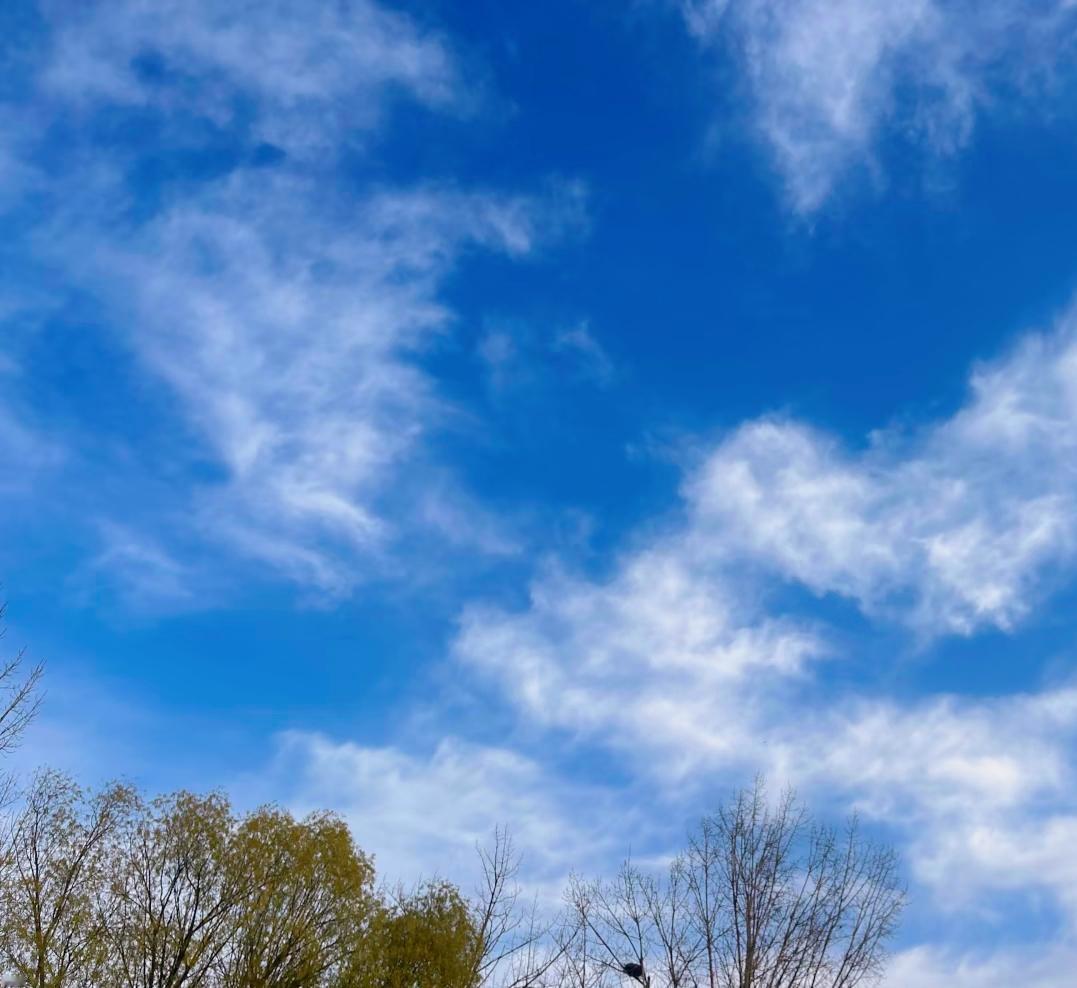 刘震云：）不要去碰一个已婚的女人，她是一个男人的脸面；不要去碰一个已婚的男人，
