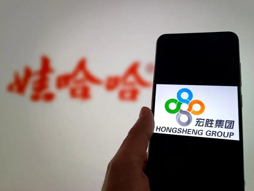 8月25日，记者从知情人士处获悉，宏胜集团再次出现人事变动。一份内部任命书显示，