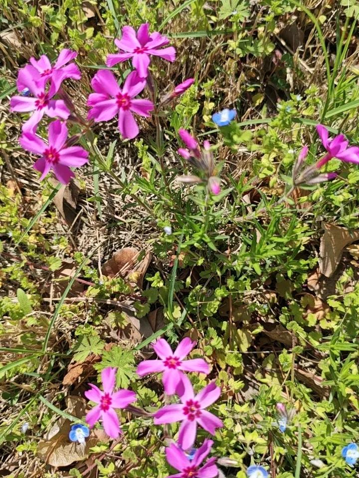 人要学会强大起来，直接面对恐惧，就是一个人强大的开始。一个人变得强大了，就是杀死