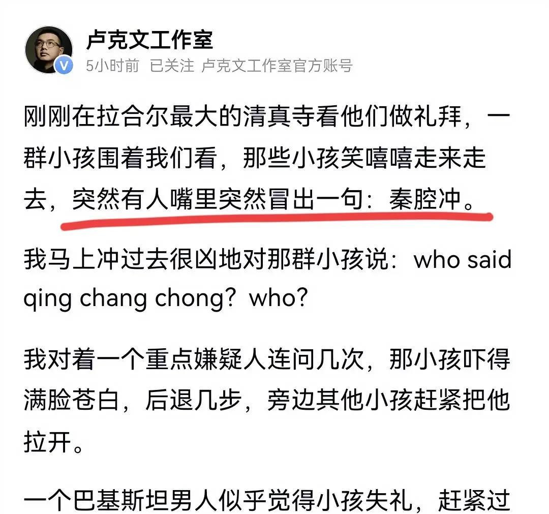 卢克文意外在巴基斯坦遭遇种族歧视，而歧视者竟然是一名小孩，这名小孩突然冒出来对着