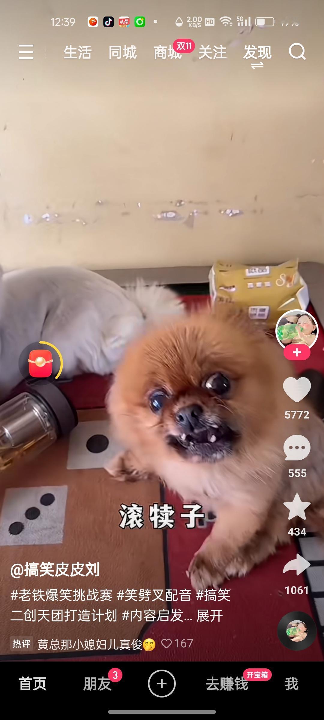 你能分享一张狗或小狗的可爱照片吗