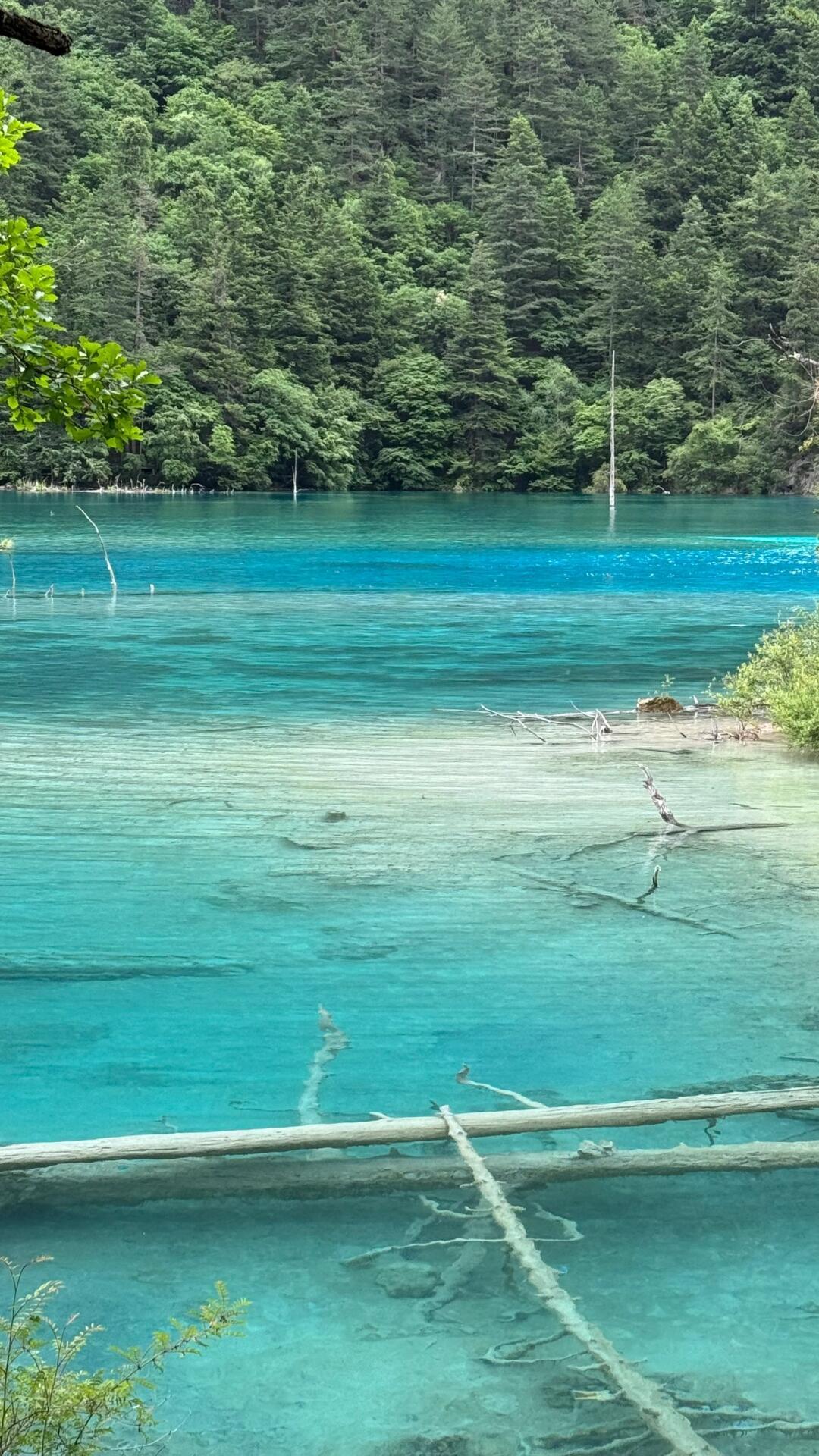 九寨沟