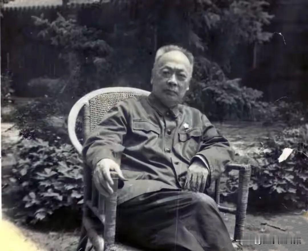1971年1月16日，陈毅元帅腹痛加剧，经诊断发现患有肠癌，且癌细胞已经扩散至肺