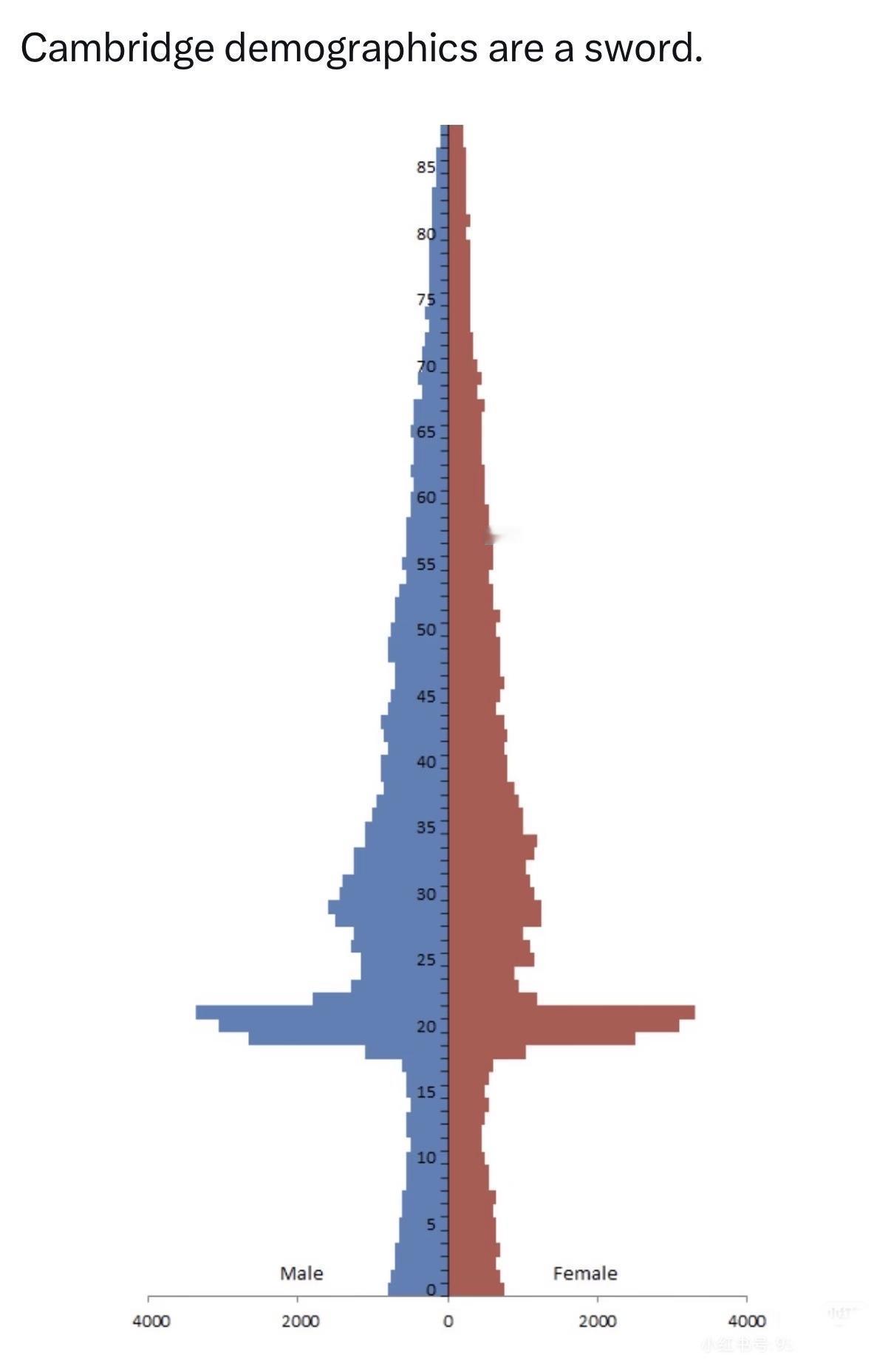 剑桥人口，分布再一次验证了：看来当年跨世纪派对确实疯狂[捂脸哭]