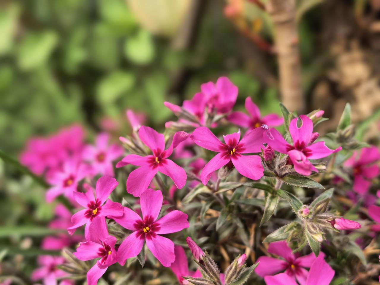 收拾房子真的太心烦了😮‍💨最近在家收拾房子，心情一直乱糟糟的，烦心事一桩