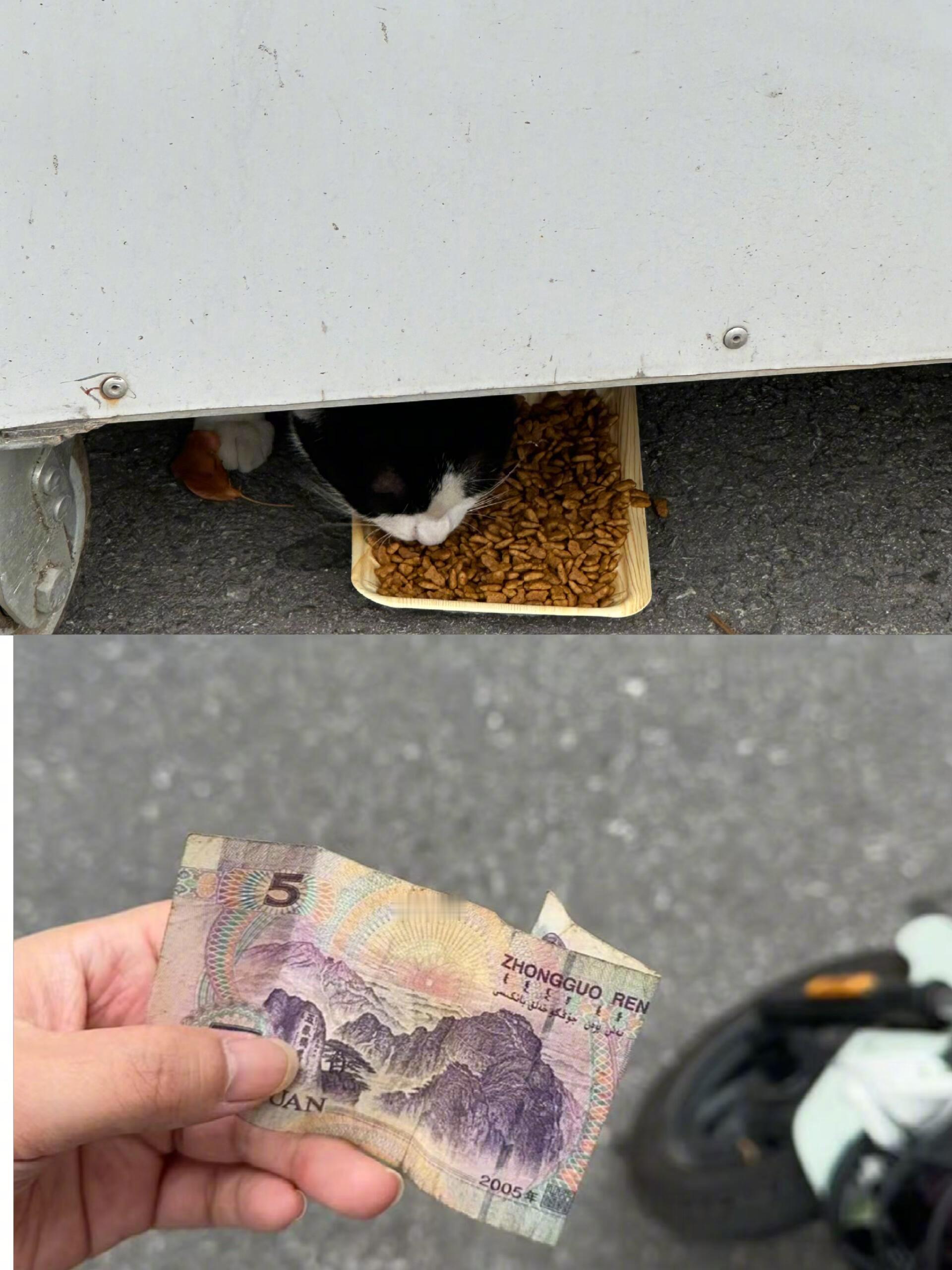遇到真正的招财猫了​​​