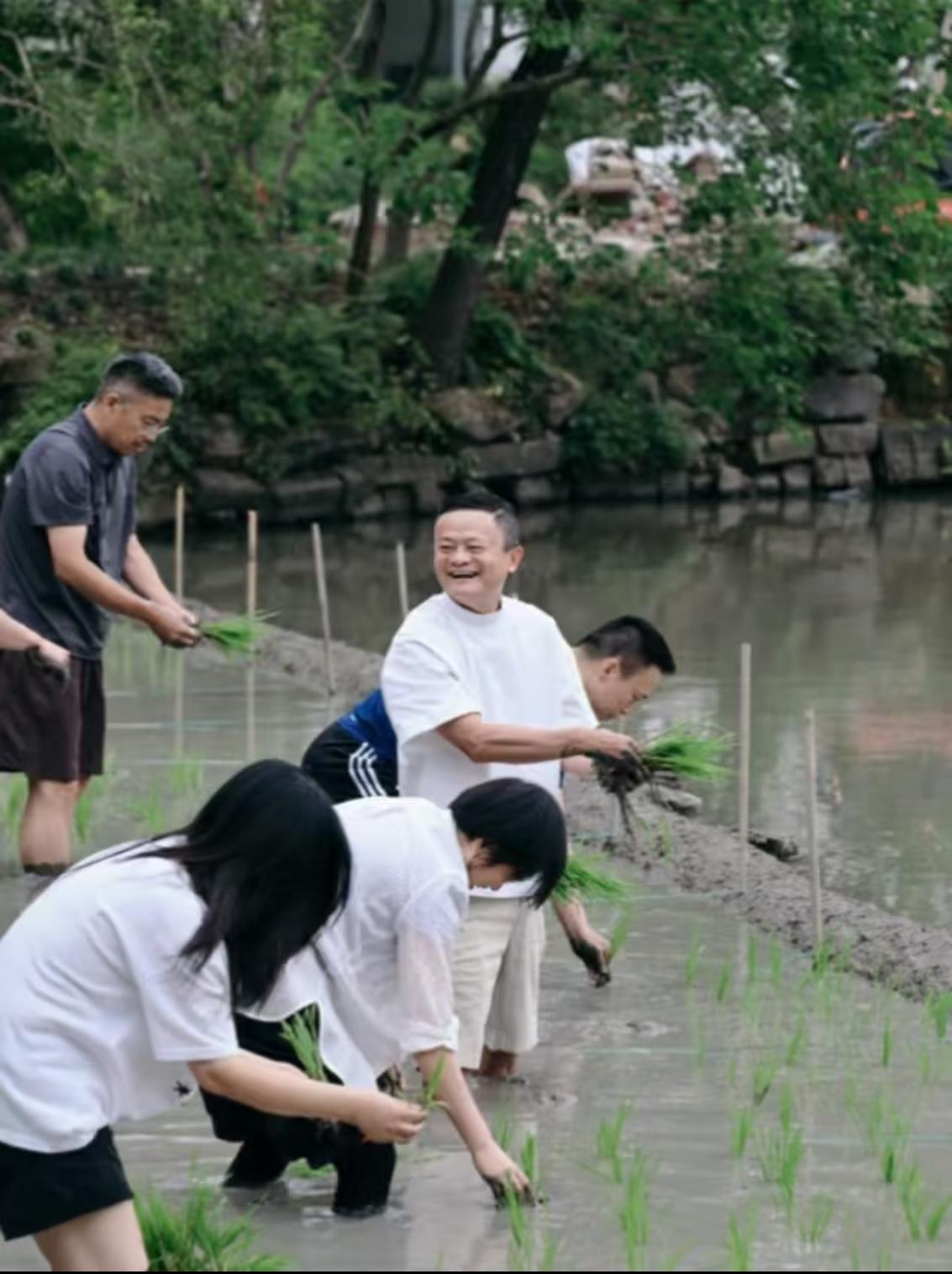 马云下田插秧，本来就不是意外的事。但是，当我看到这一群插秧老总的一个细节