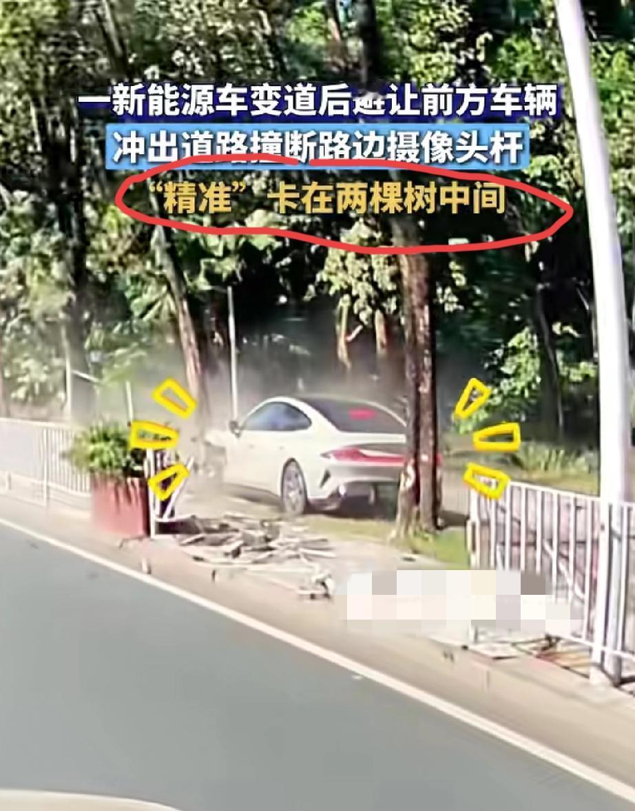 一新能源电车变道后，为避让前方车辆，冲出道路，撞断路边摄像头杆，“精准”卡在两棵
