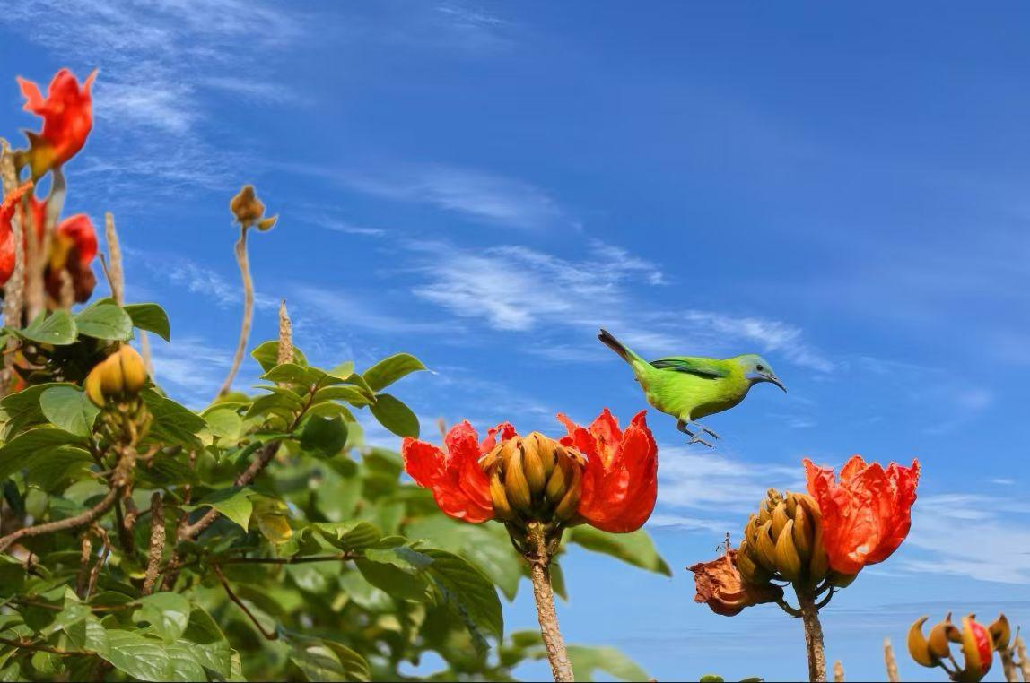 特别关注！2026年河北省事业单位统一公开招聘笔试有新变化了。12月1日，河