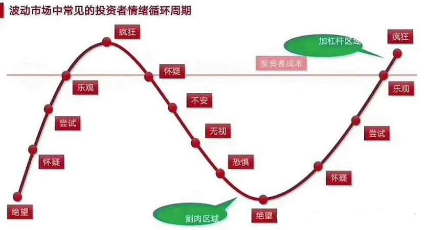 不以涨喜，不为跌悲，不为股价的波动改变心电图，把关注的重点入在交易原则与交易计划