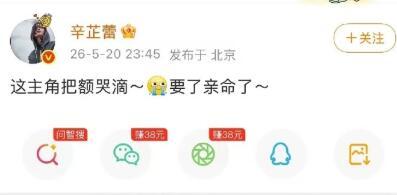 影后视后集体追《主角》，核心是共情、专业、品质、价值观四点共振——她们在忆秦娥身