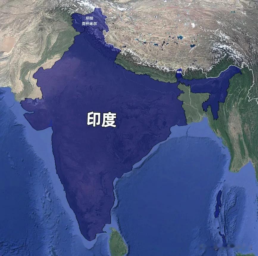 印度老虎50年：从1411只到3682只，全球70%野生虎，咋做