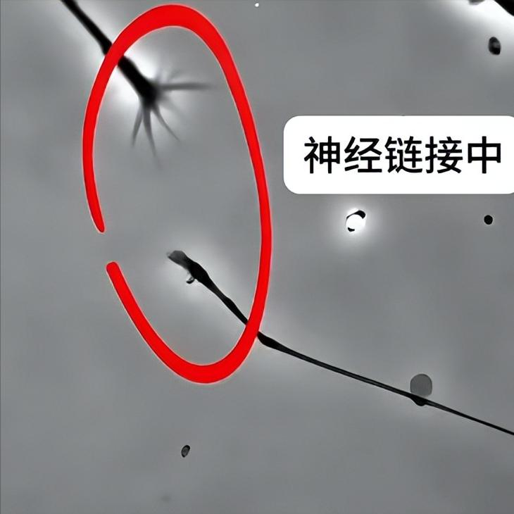 神经损伤康复五步走，错一步都可能前功尽弃！第一步：精准评估，明确损伤程度在开