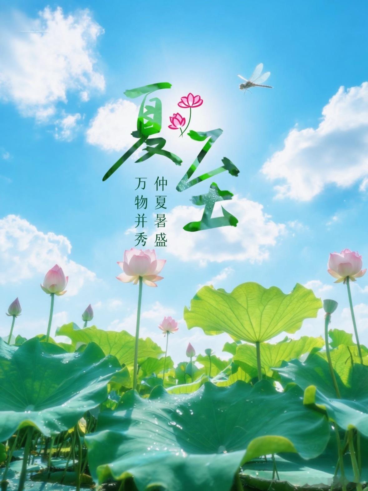 夏至｜荷风送香气，竹露滴清响夏至伴着日渐燥热的晚风，二十四节气里的夏至如约而至