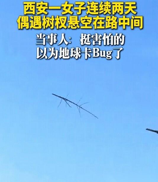 我跟你说，要不是亲眼看见，打死我都不信。西安街头，一根树杈，就那么直挺挺地悬在