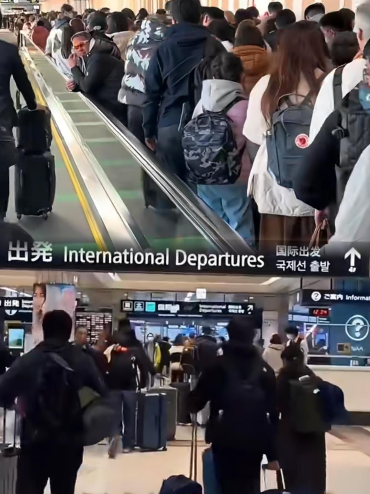 没想到吧！日本机场滞留的国人里，还真没多少公职人员和农民群体！公职人员受规