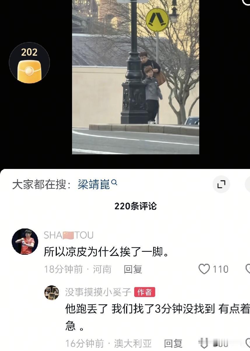 凉皮出去玩一趟吵架还挨揍。看到凉皮走在前面，梁靖崑给了凉皮一脚，原来是凉皮跑丢