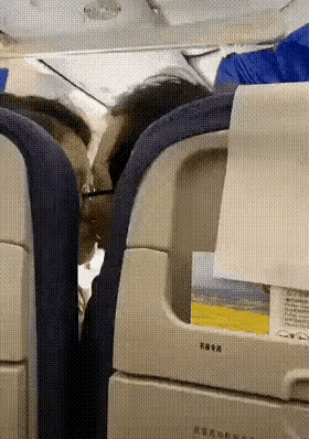 空中旅行的这一幕！