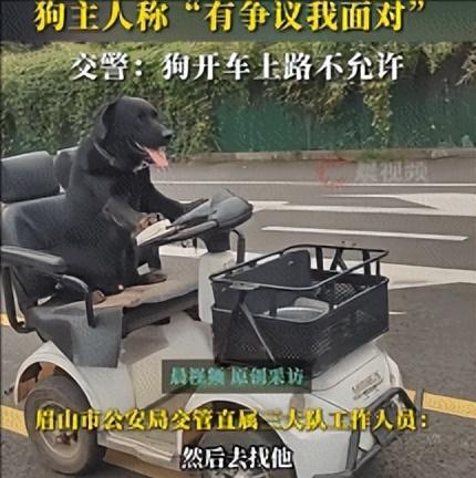 “解释不清了！”20日报道，四川眉山，有网友在马路上瞧见辆老年代步车，慢悠悠地往