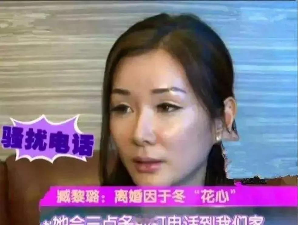 2007年，身怀六甲的博纳老板娘臧黎璐大半夜突然接到个陌生女人电话：“于冬爱上我
