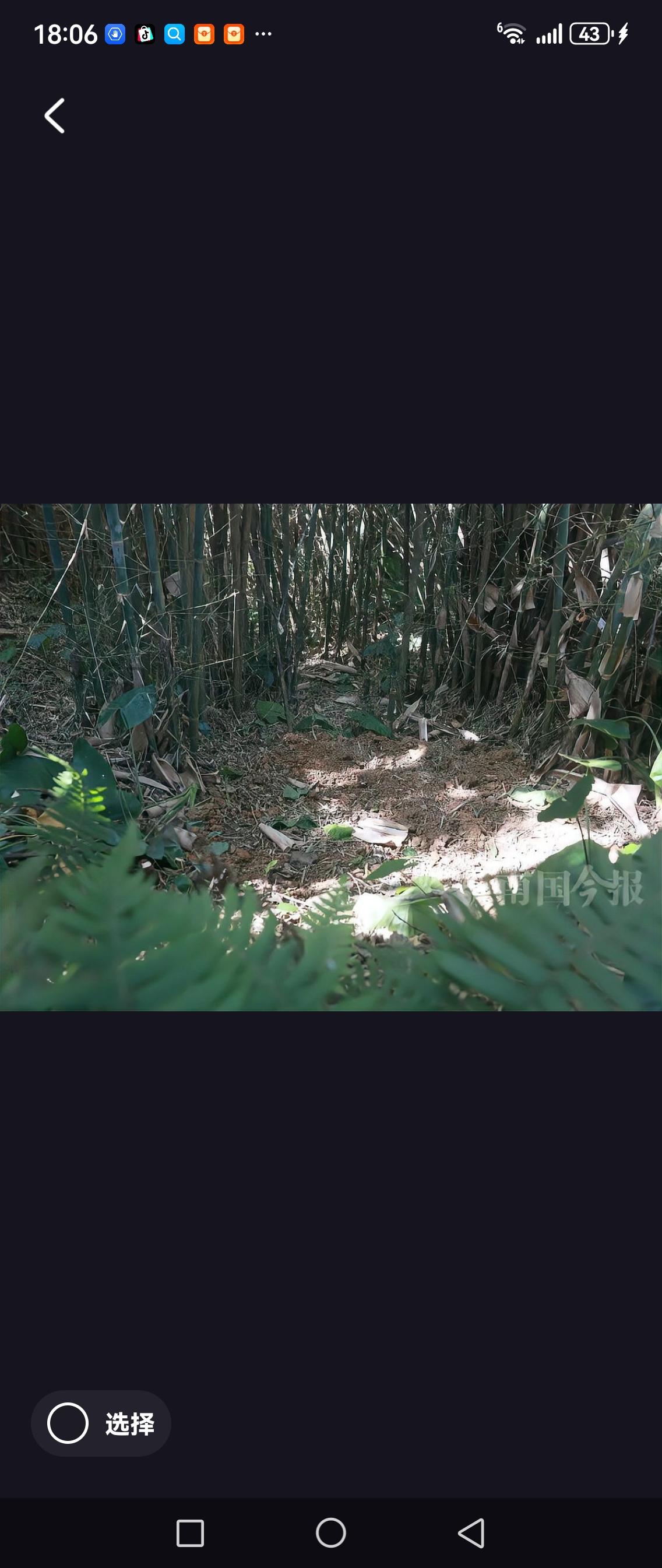 广西一村民挖蚯蚓竟意外挖出千年铜鼓，重达60斤，这究竟是怎么回事？近日，在广西